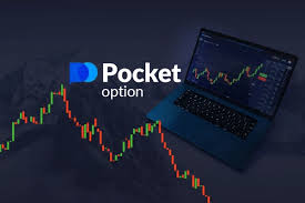 Полное руководство по pocket option обучение Полное руководство по pocket option обучение